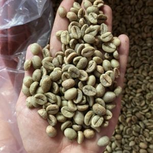 Robusta Green Coffee Beans (Honey Process)